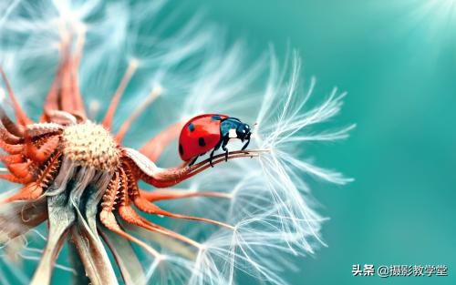 摄影相机如何调参数,相机摄影对焦技巧