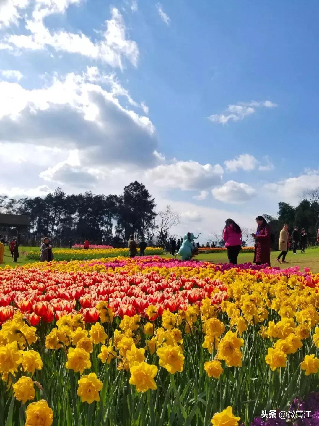 跟随央视《美丽中国》，一起去蒲江！一起去石象湖！