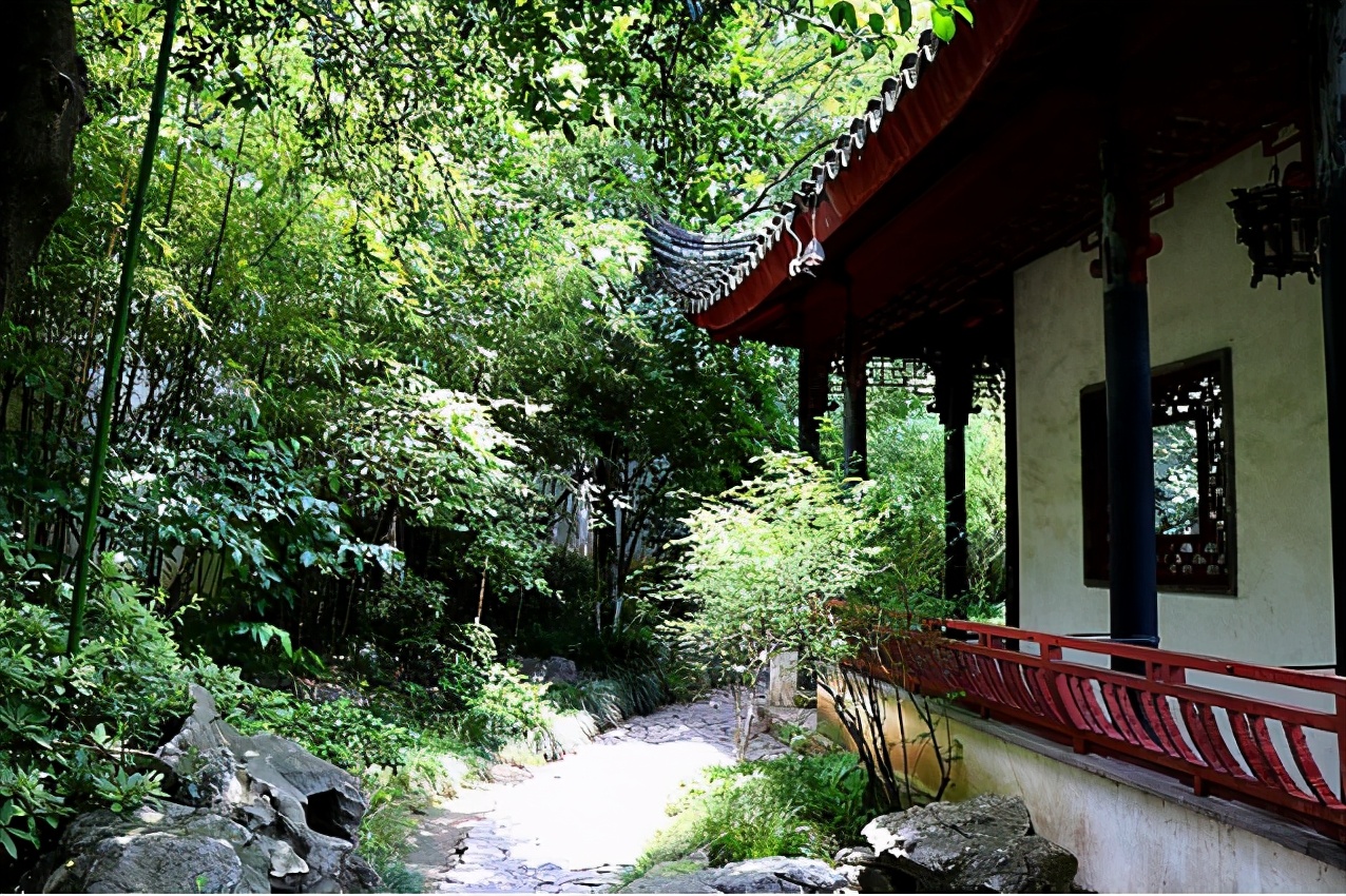 苏州最孤独的树夜景,苏州最孤独的树地址