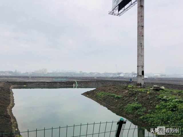 阳澄湖大闸蟹为什么能独占鳌头,阳澄湖大闸蟹上岸