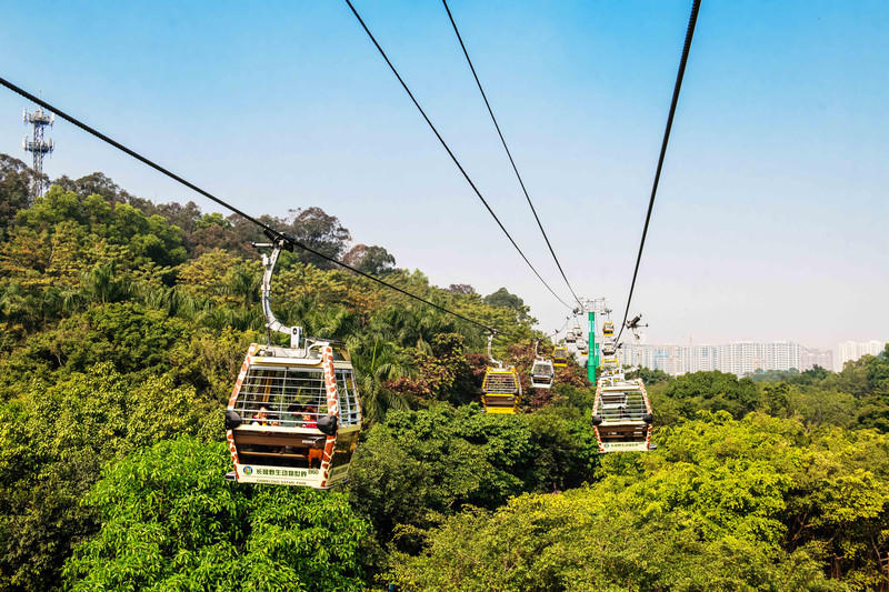 广州长隆野生动物世界旅游攻略,长隆野生动物世界攻略2-3天广州游