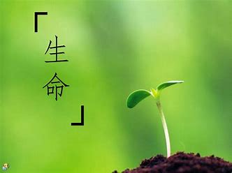 当年富士康员工自杀事件,富士康员工自杀事件产生的原因