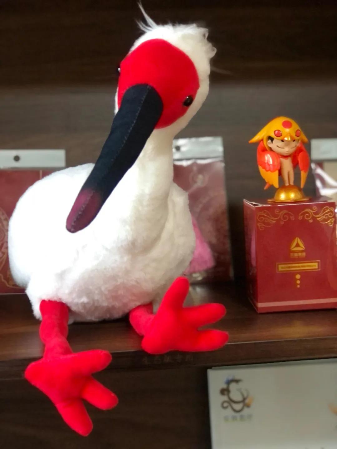 绿心公园5月3号有什么活动,绿心公园花开了好漂亮