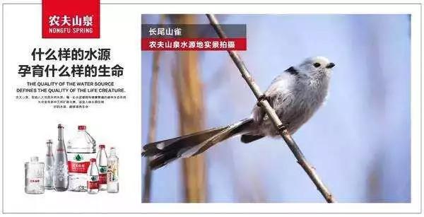 品牌管理的正确观念,怎么理解品牌管理