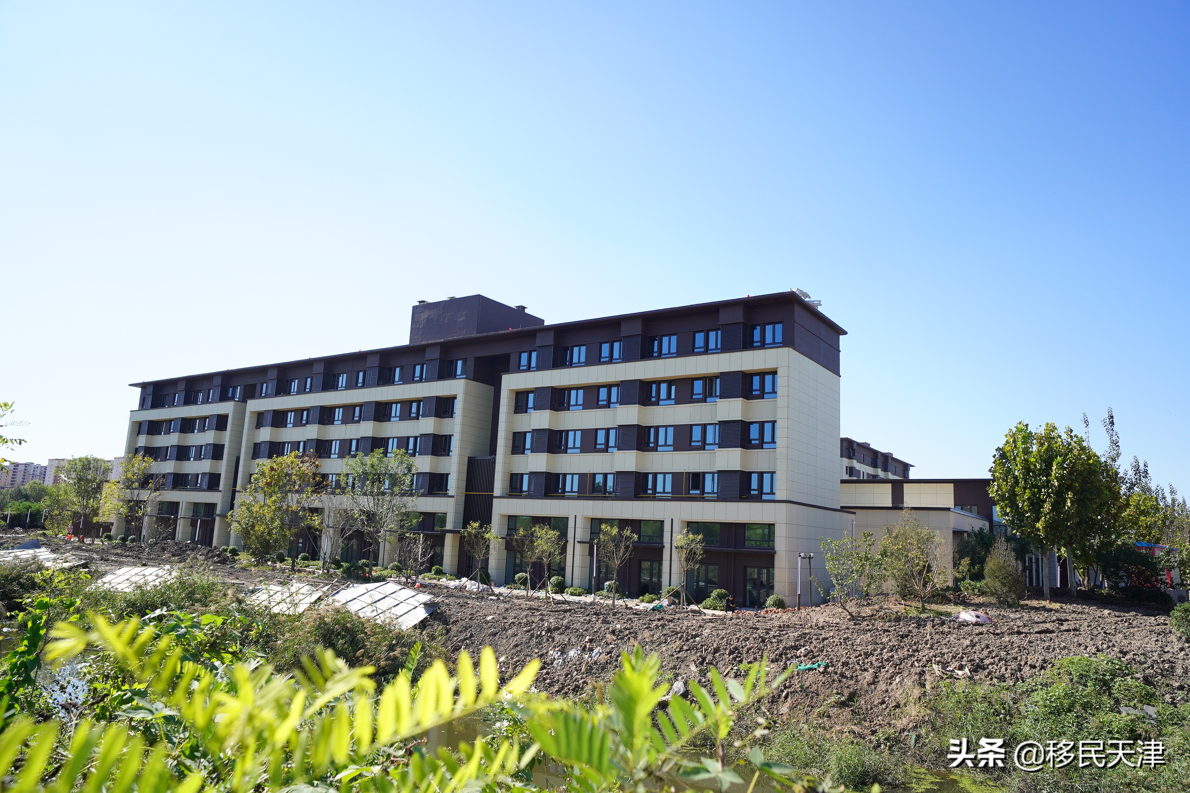 为什么天津不建议买武清的房子,天津武清南湖房产有前途吗