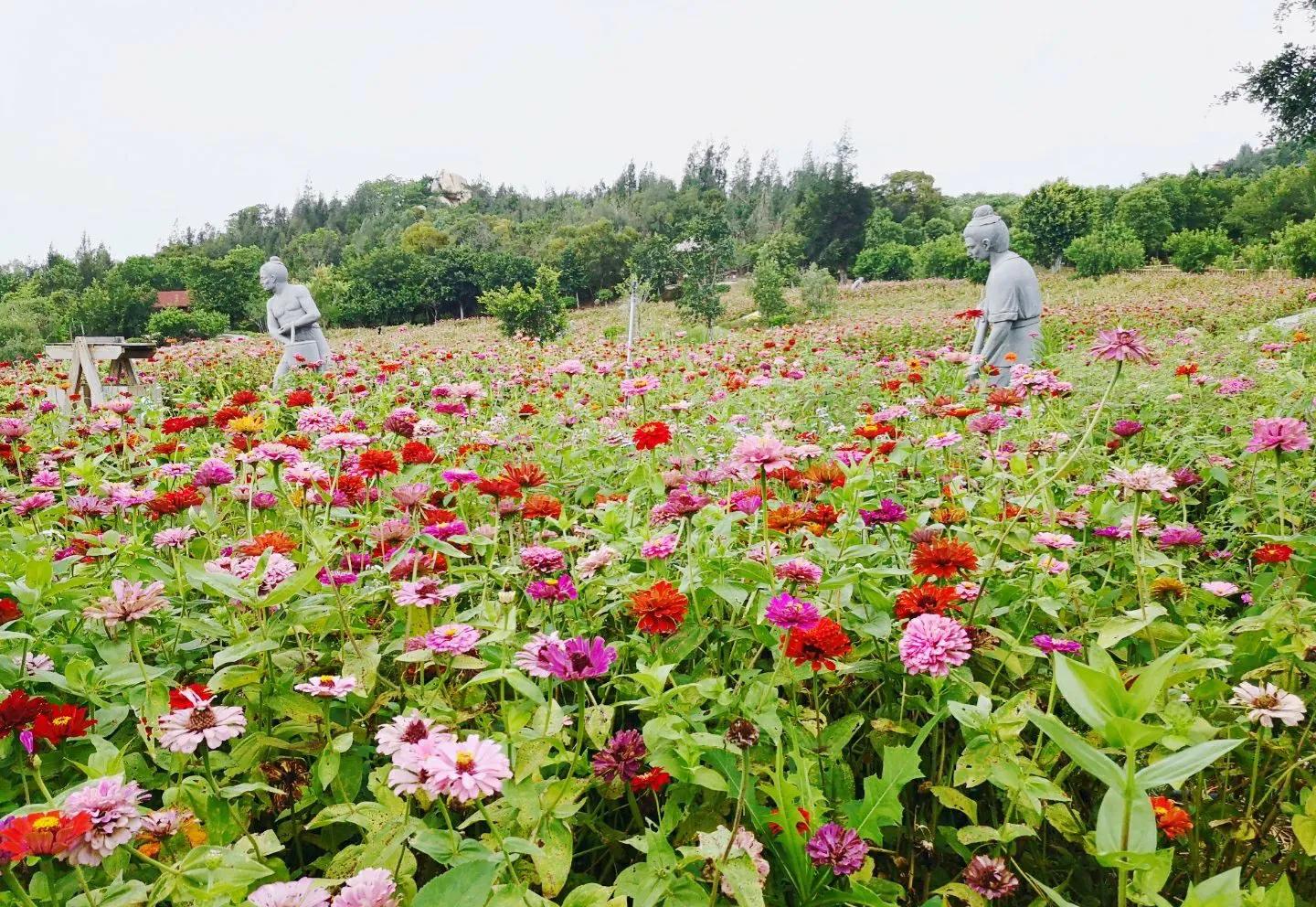 厦门香山有什么风景,厦门翔安必去8个景点香山