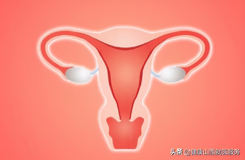 第一次*生活性**一定会流血？处女膜到底有啥作用？科普的解释来了