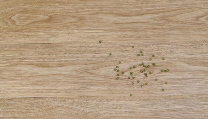 美的吸尘器c3和c6哪个好用,美的c3吸尘器哪款最好用