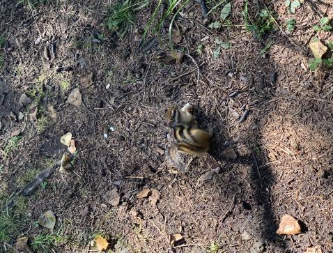 摄影欣赏大自然美景,长白山旅游之旅