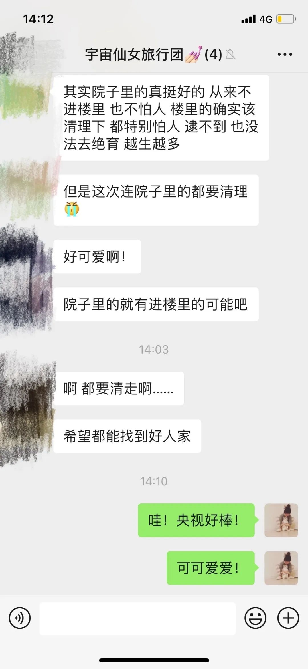 央视直播间猫叫背后原因,央视养猫辟谣