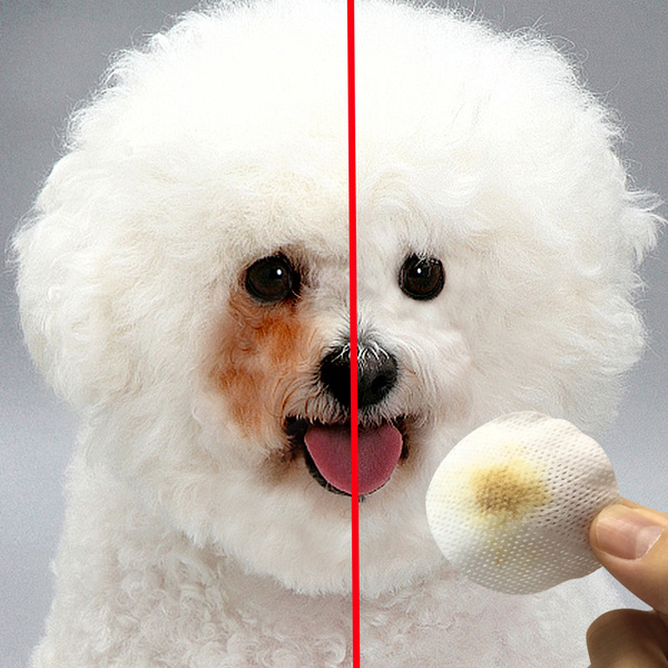 比熊犬有泪痕怎么去除,比熊犬泪痕怎么清除