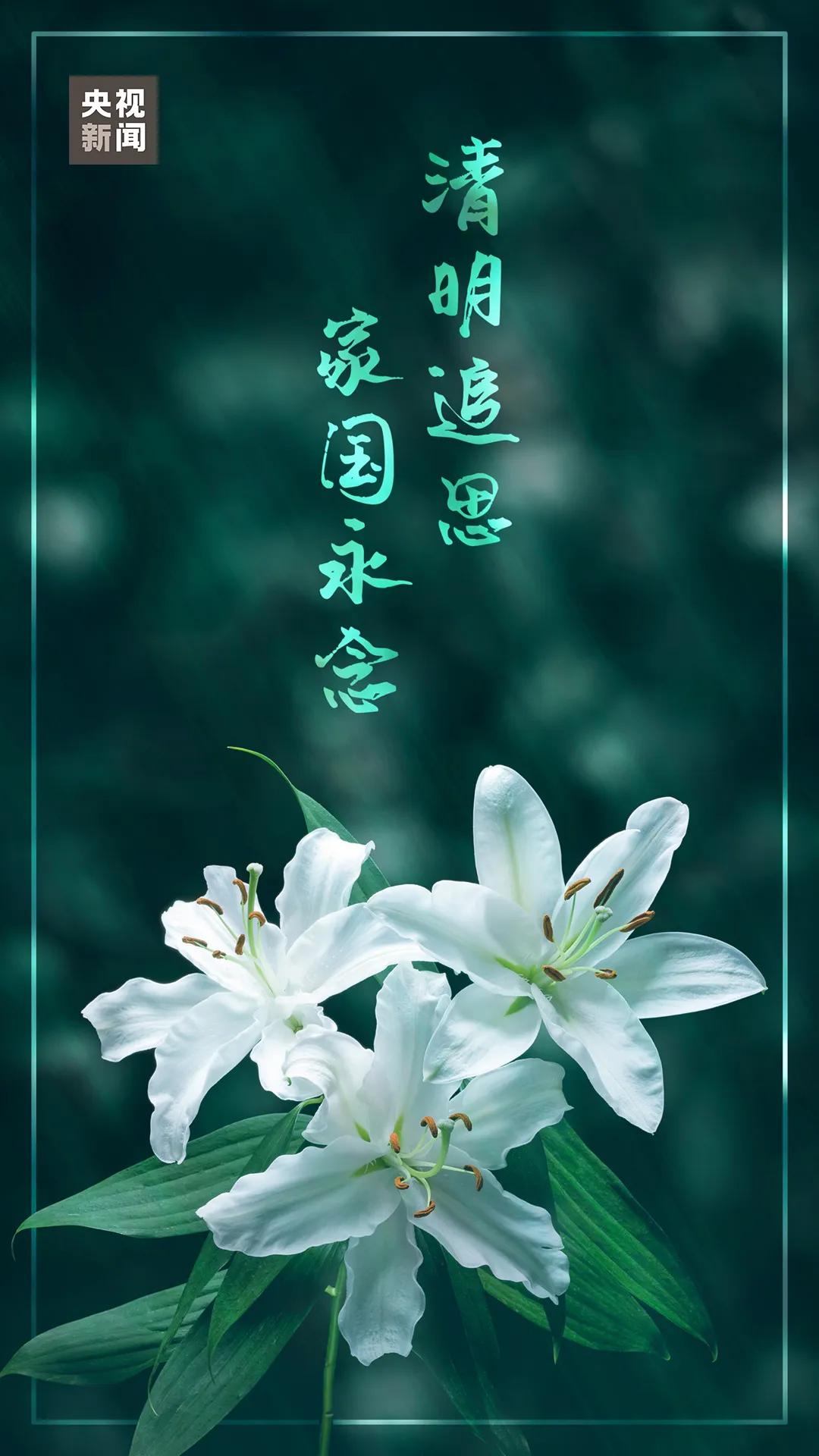 今日清明的表情,今日清明共寄哀思