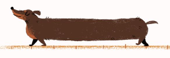 预防犬细小病毒的最好方法,犬细小病毒会传染给人吗