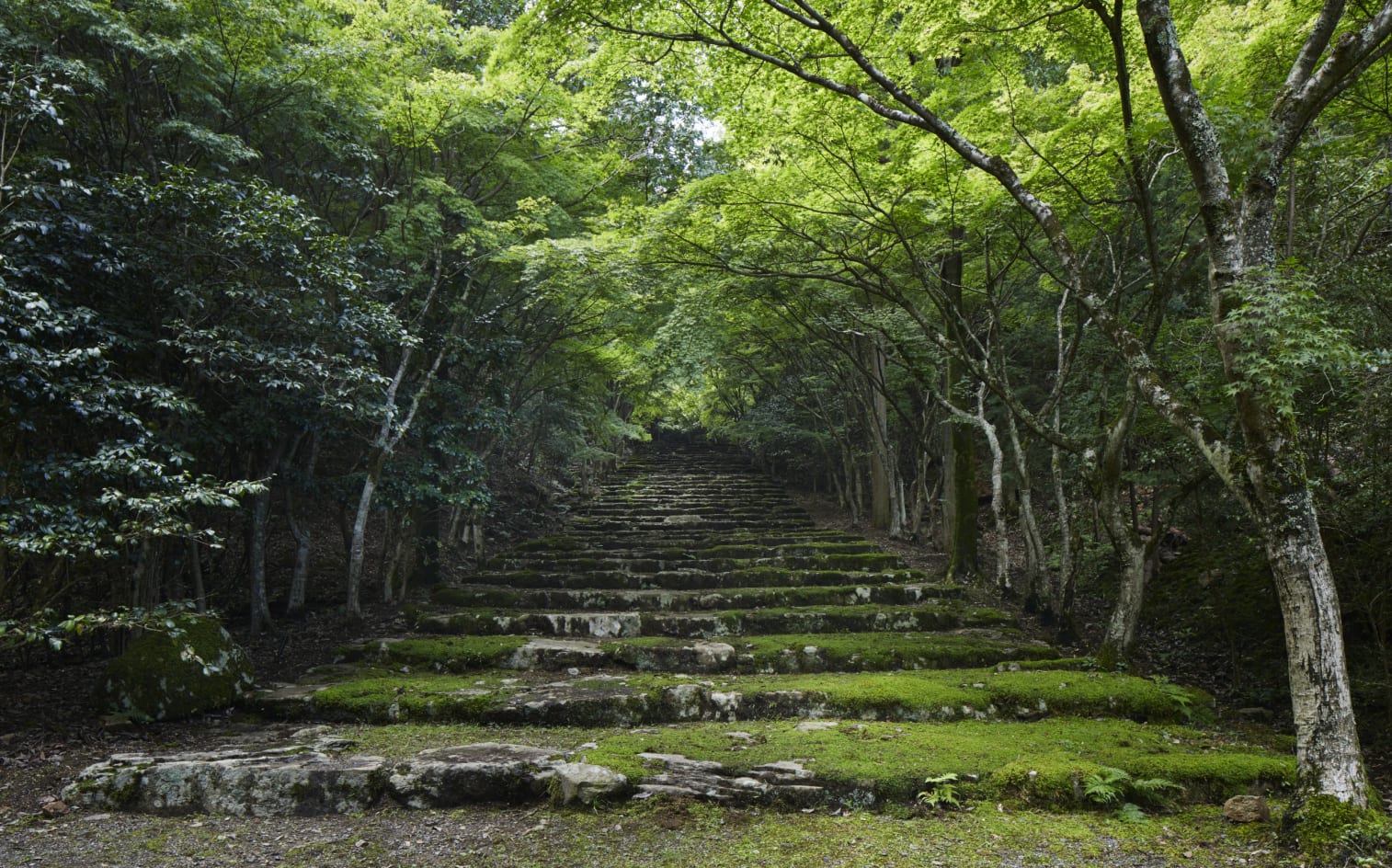 京都安缦多少钱,京都柏悦跟安缦