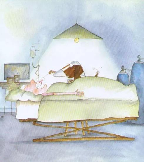 绘本故事大狗医生教案,健康卫生的简短绘本故事