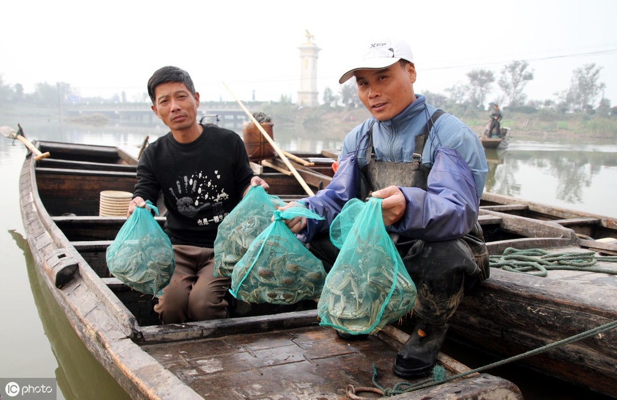 河蟹黑鳃怎么回事,河蟹黑鳃的影响
