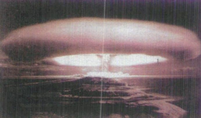 元素家族在线观看,元素家族全放送