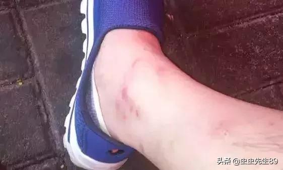 你的车里有“吸血鬼”吗