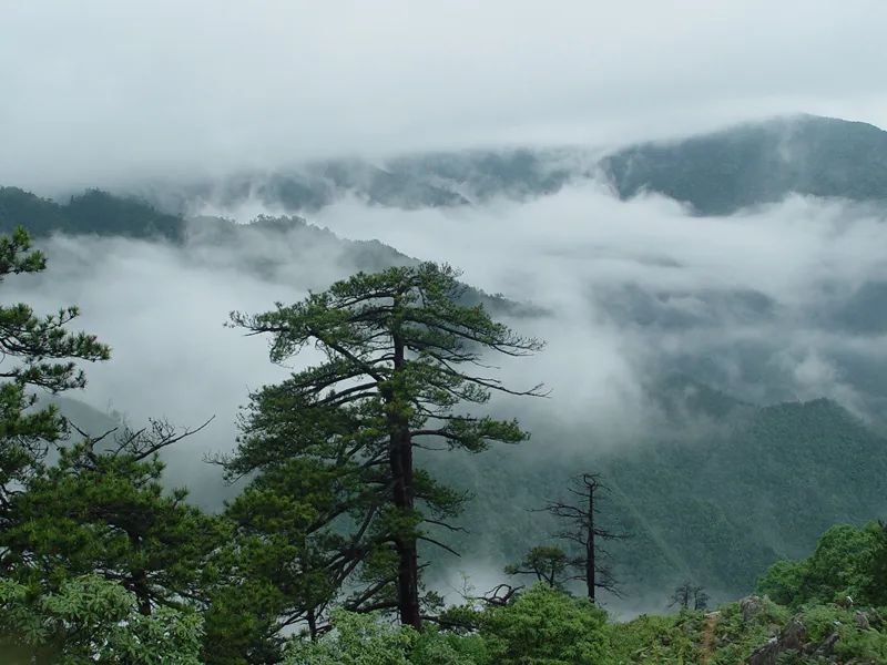 马云去的江西小镇,马云在浙江几个小镇