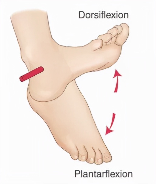 下肢康复机器人的专利,康复机器人美国品牌