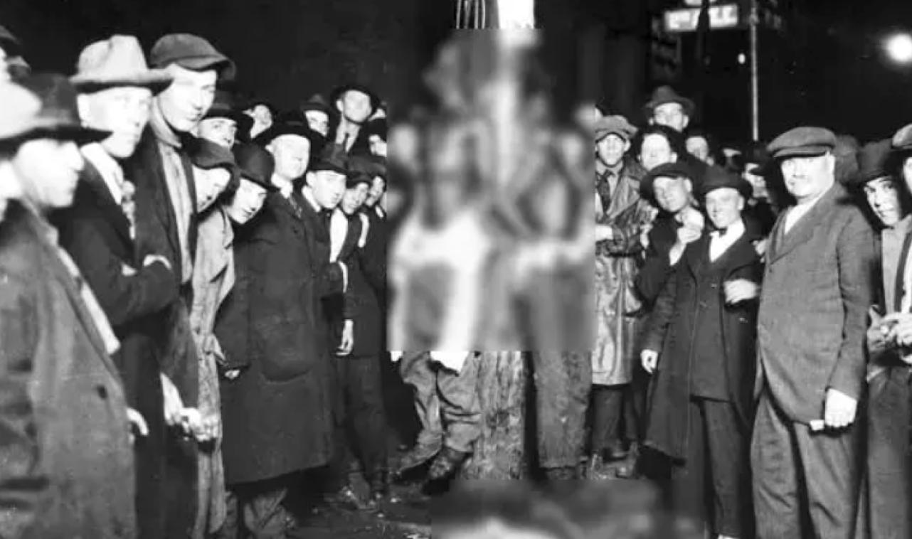 乌合麒麟发布新作血棉行动,乌合麒麟怒揭血棉真相