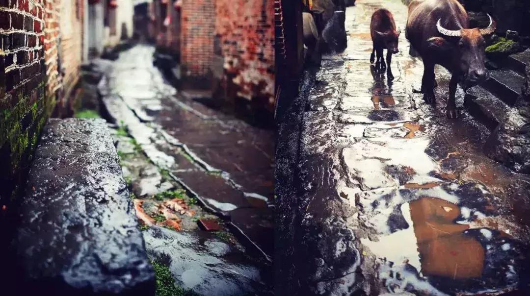 韩国富川旅行团,赞非