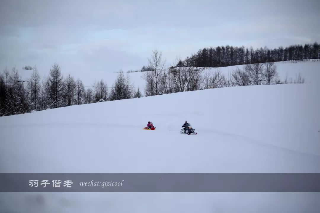 不会日语日本自由行好吗,不会日语的北海道自由行攻略