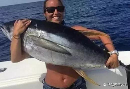 最贵的海水观赏鱼排名前十名,中国最贵的观赏鱼排行榜top10