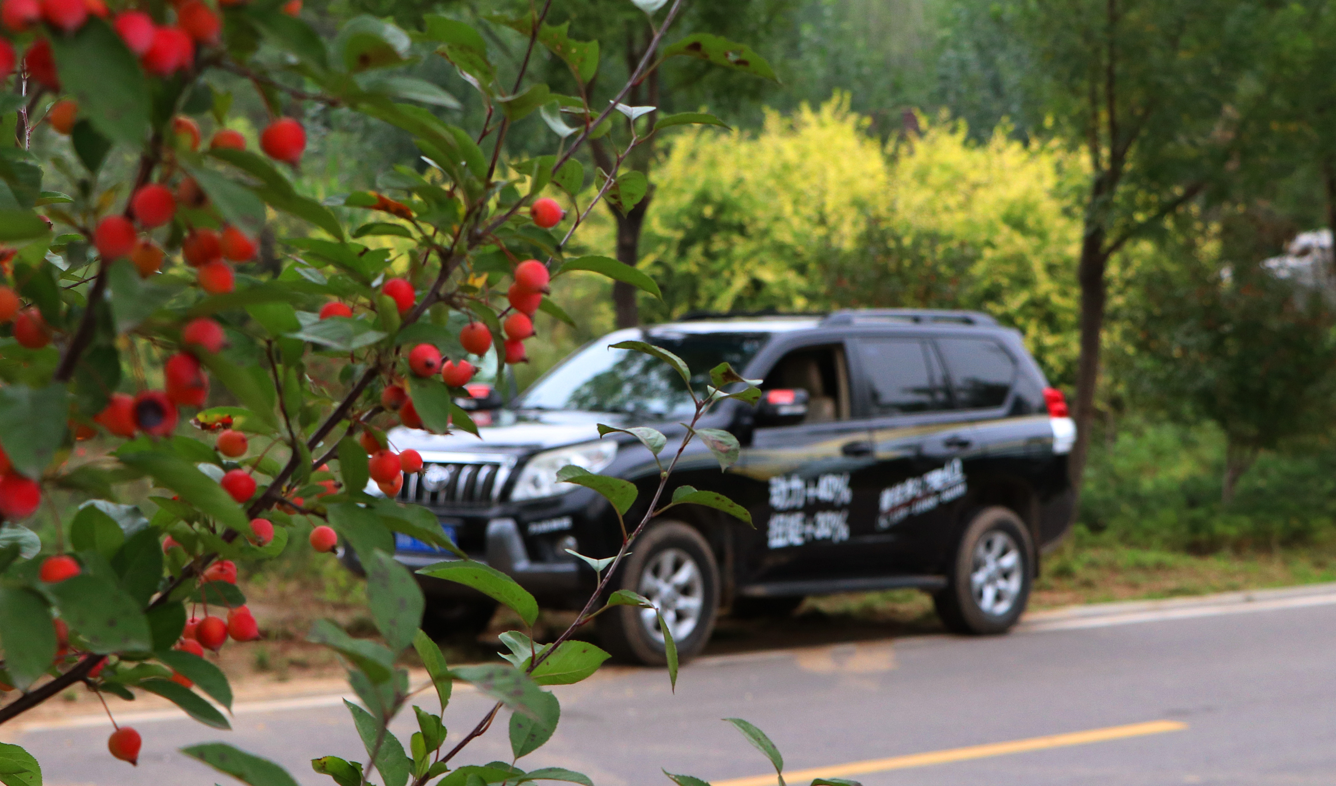 普拉多肉动力,普拉多2.7机械增压测试