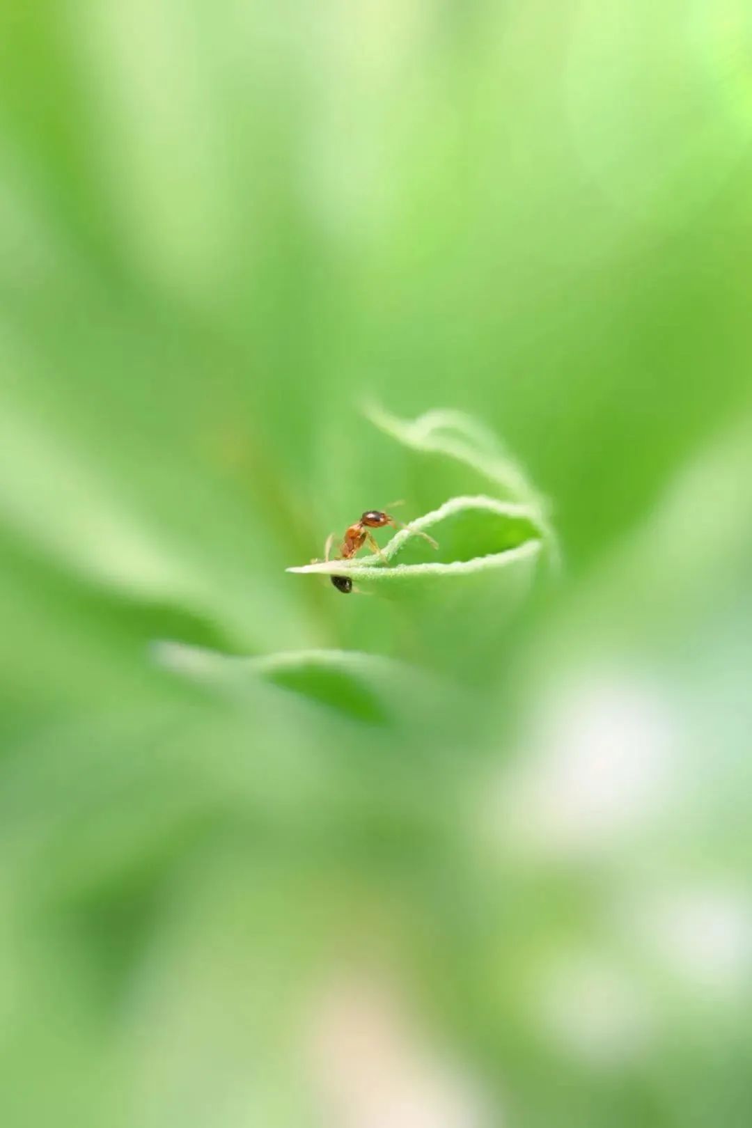 手机摄影拍摄最新热门作品,手机拍摄精彩作品