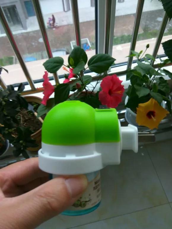 养花土如何杀菌除虫,月季生虫自制杀虫水