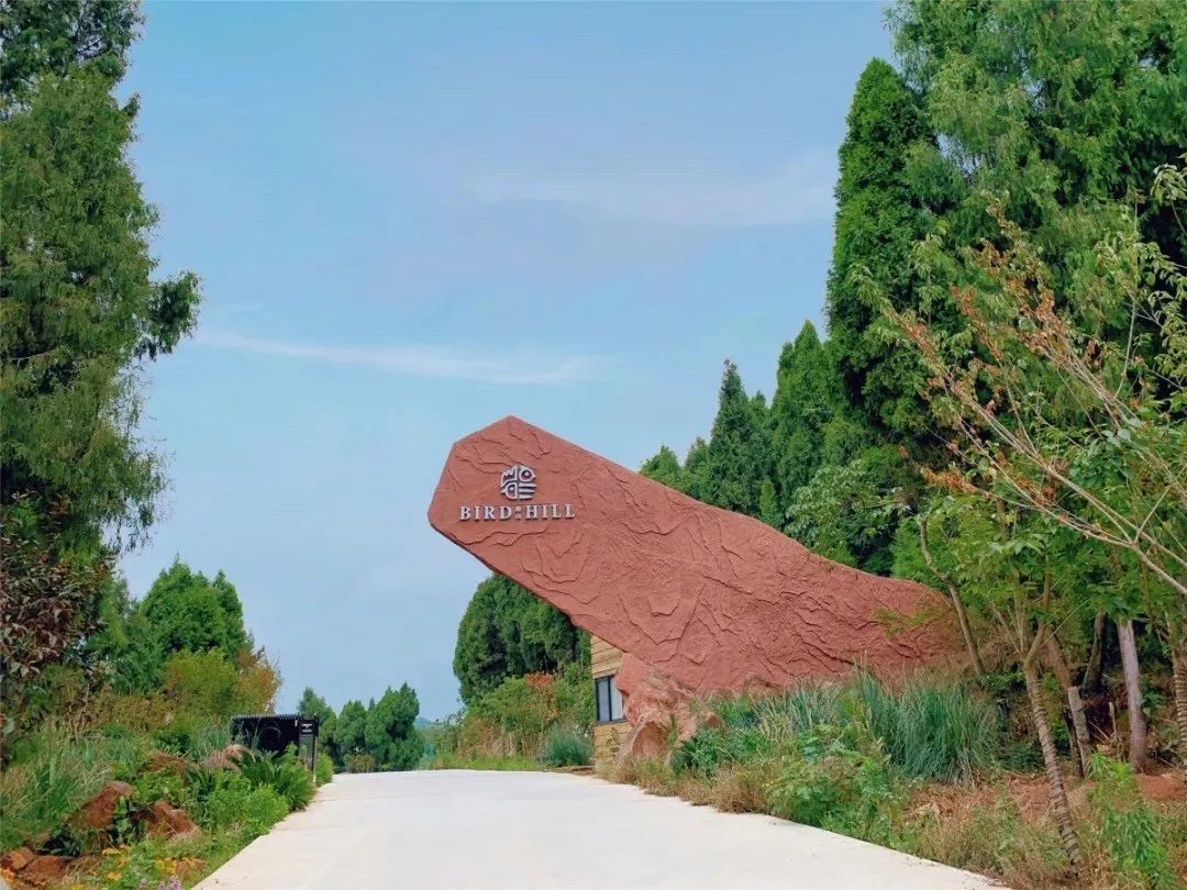 德阳精品咖啡馆,德阳最美咖啡