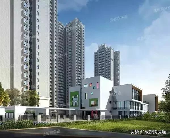 种了20年的铁树终于开花了,养了几十年的铁树终于开花了