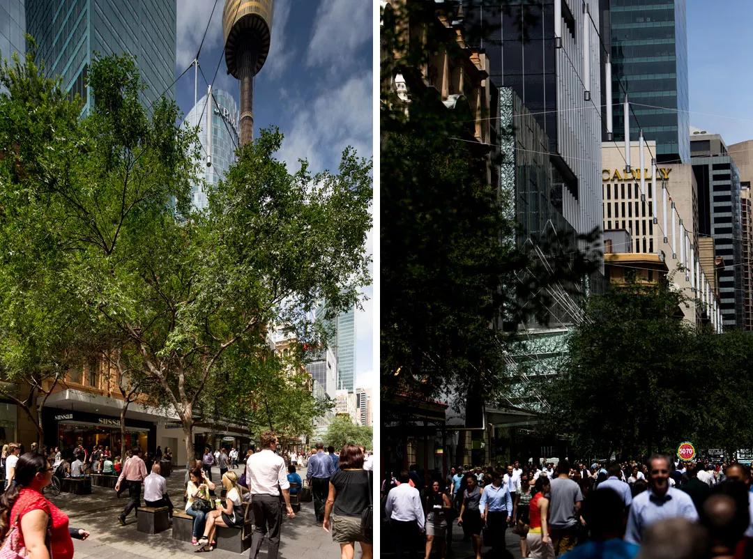 商业步行街景观设计图展示,商业步行街景观设计经典案例