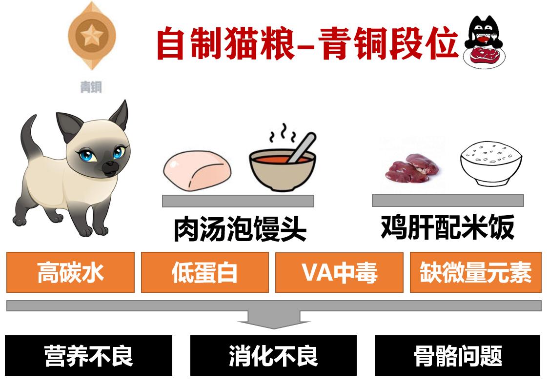 自制猫粮为什么不推荐煮而是蒸,自制猫粮有什么要求吗