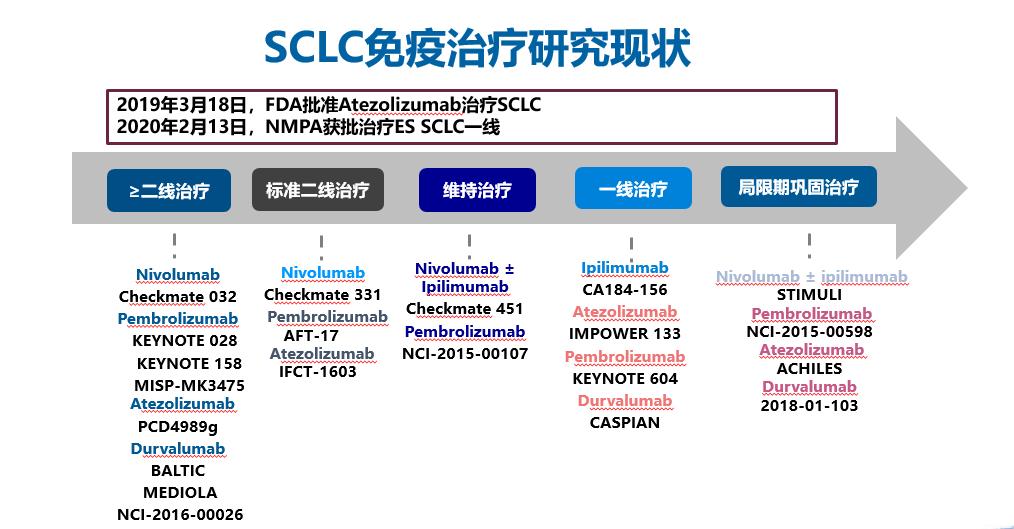 小细胞肺癌11年的真实经验,小细胞肺癌5年存活率高吗