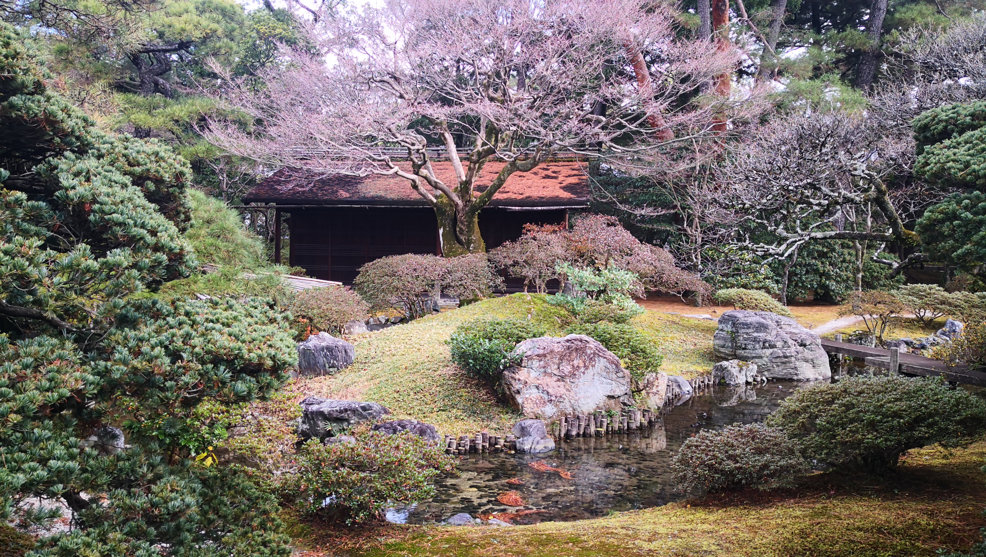 探访日本皇宫,京都旅行京都御所