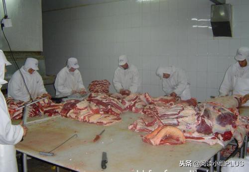 七头牛成为中国牛王,中国养牛起家的首富