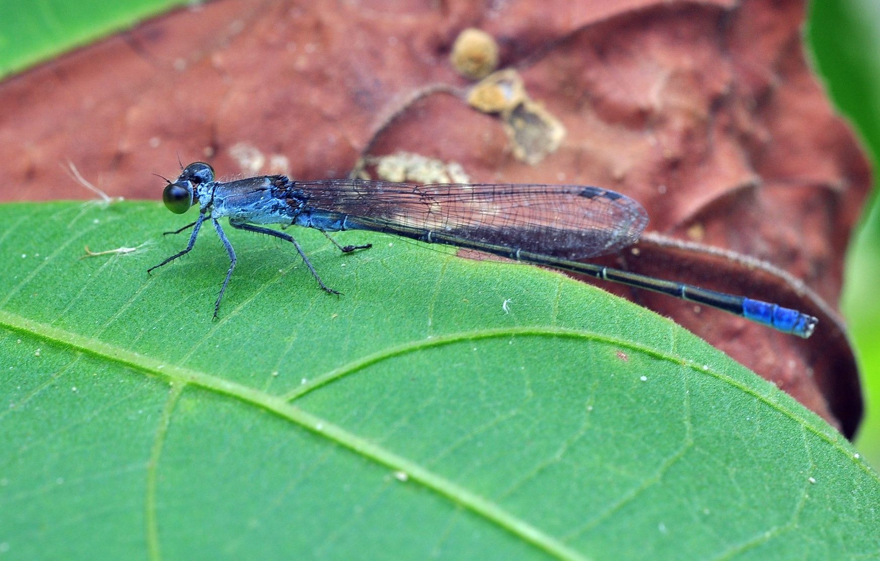 我的思乡情结,我与尼康的邂逅