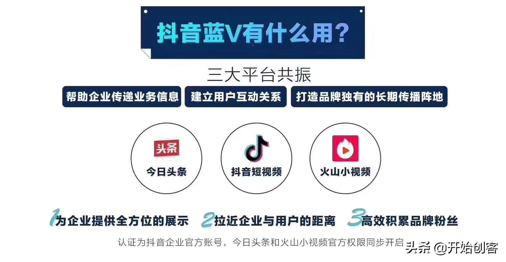 抖音企业蓝v认证是什么样子,抖音蓝v企业认证在哪里查看