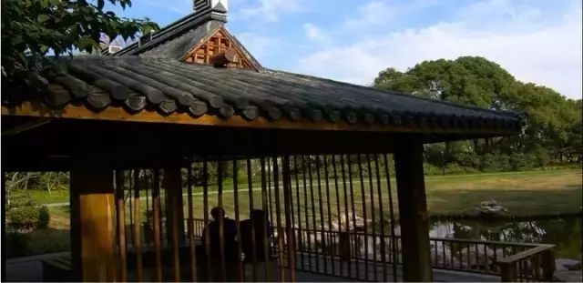 吐血整理！在上海你一定要知道这些