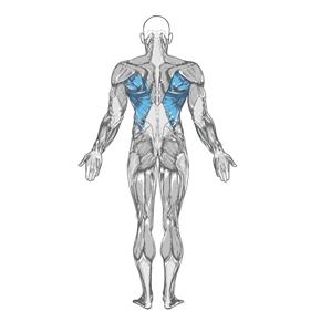 减脂健身计划一周表,减脂健身计划一周表图