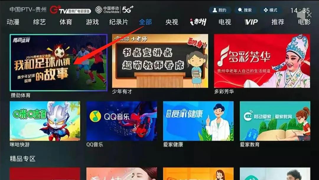 全国青少年足球训练营,全国青少年满天星训练营