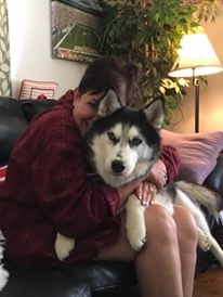 哈士奇雪橇犬多次嗅闻女主人*体下**，女主人很感激