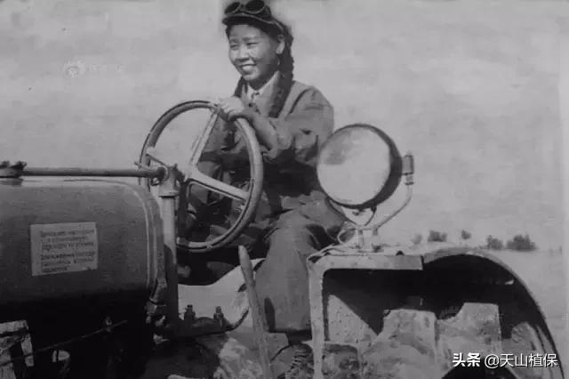 伟大的新疆,伟大的阿勒泰