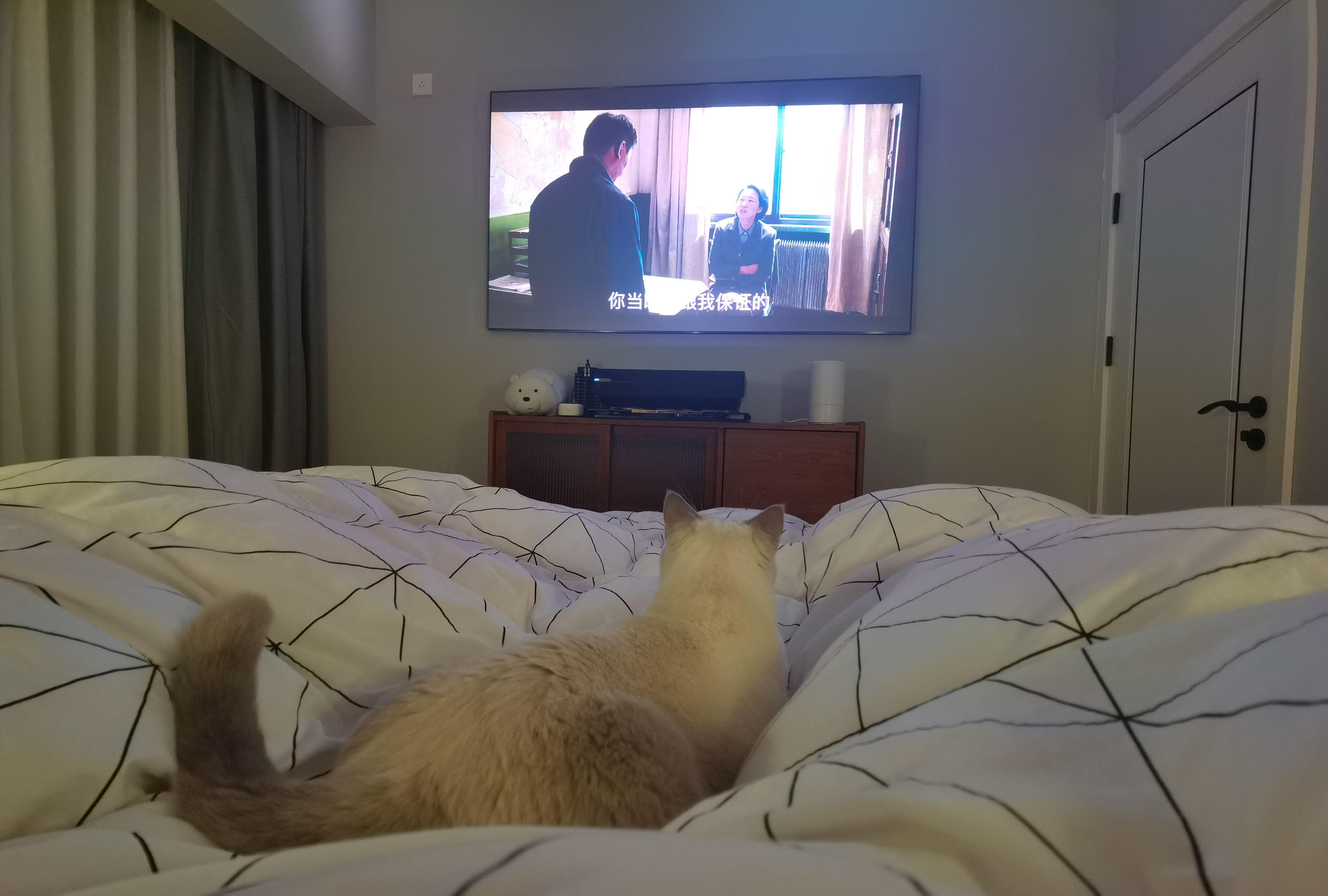 打造人宠共乐的家—“铲S官”的装修笔记