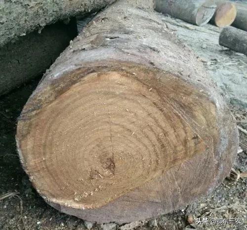 被拆的老房子的木料值钱吗,旧木房回收价值