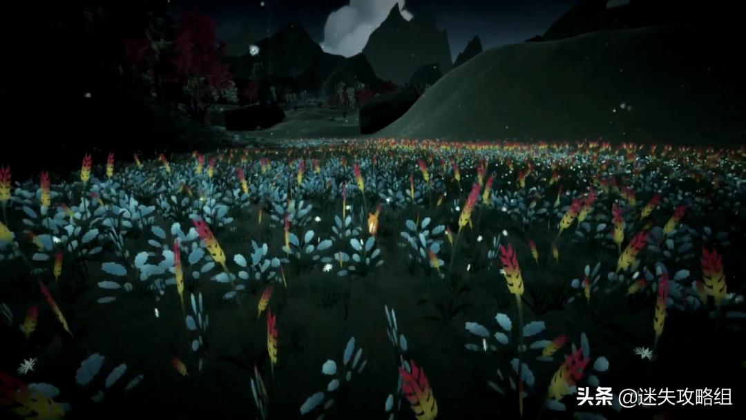 《第一棵树》：最值得留念的，是人生中那些不起眼的瞬间