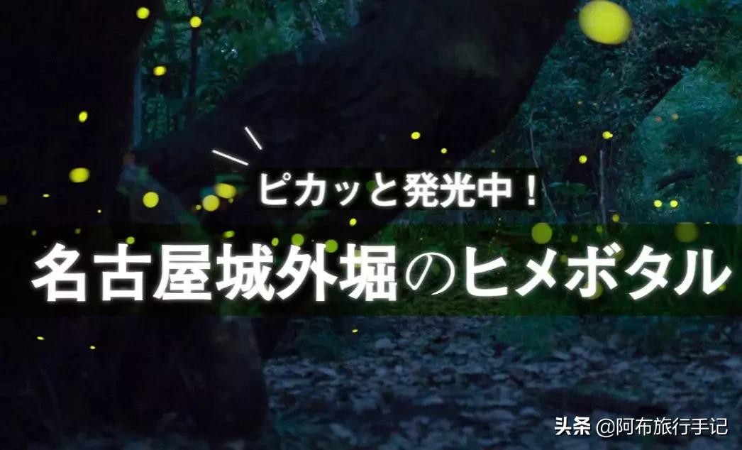 名古屋隐藏美食,日本名古屋有什么好吃的