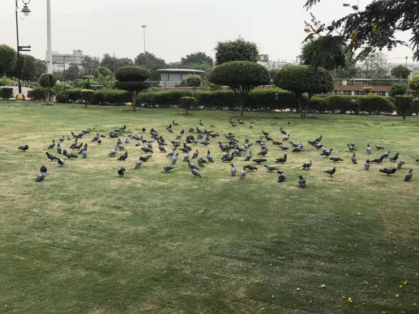 带你领略异国风情,带你领略东南亚6国异域风情